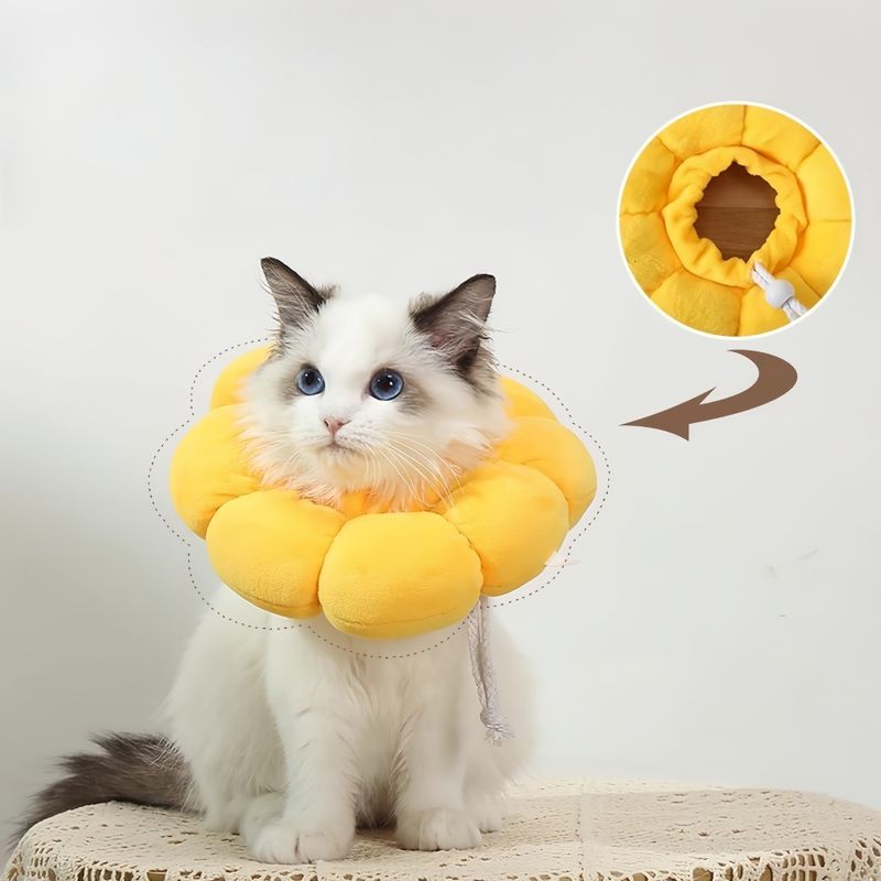 ZenPets Collier anti-léchage en forme de tournesol pour chat et chien