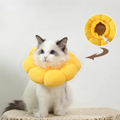 ZenPets Collier anti-léchage en forme de tournesol pour chat et chien