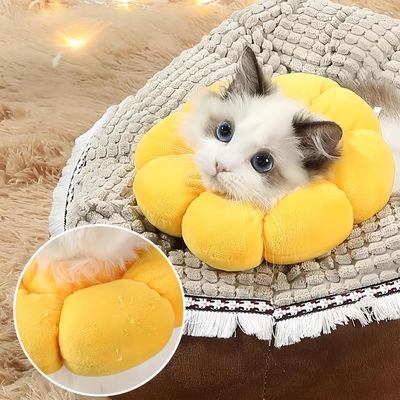 ZenPets Collier anti-léchage en forme de tournesol pour chat et chien