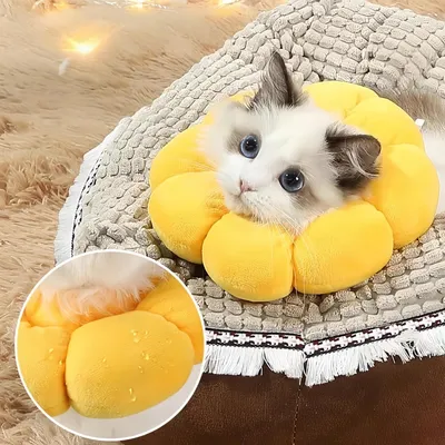 ZenPets Collier anti-léchage en forme de tournesol pour chat et chien