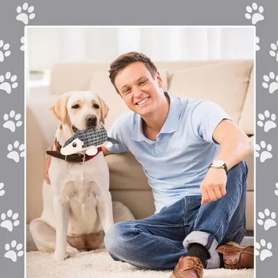 Petopia Animaux en Peluche pour Chien