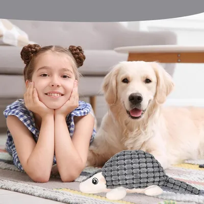 Petopia Animaux en Peluche pour Chien