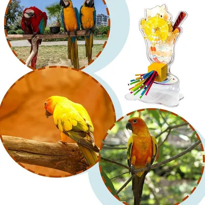 Petopia Jouets rotatifs pour perruches