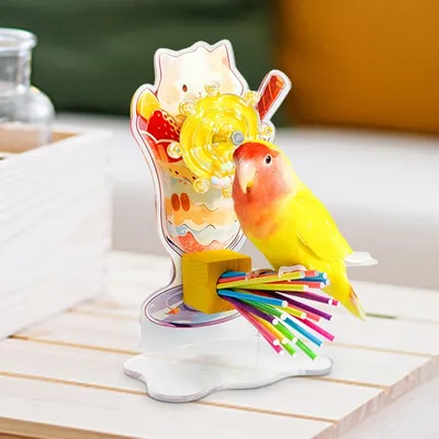 Petopia Jouets rotatifs pour perruches