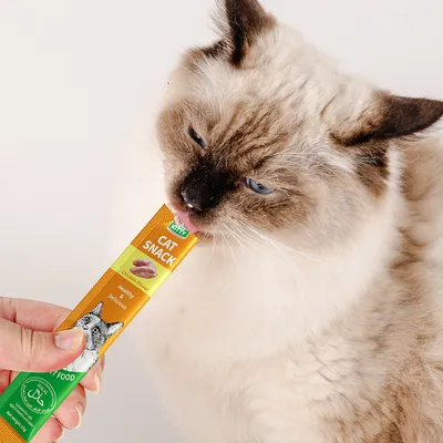 Petopia Friandises pour chats, 10 sachets saveur saumon