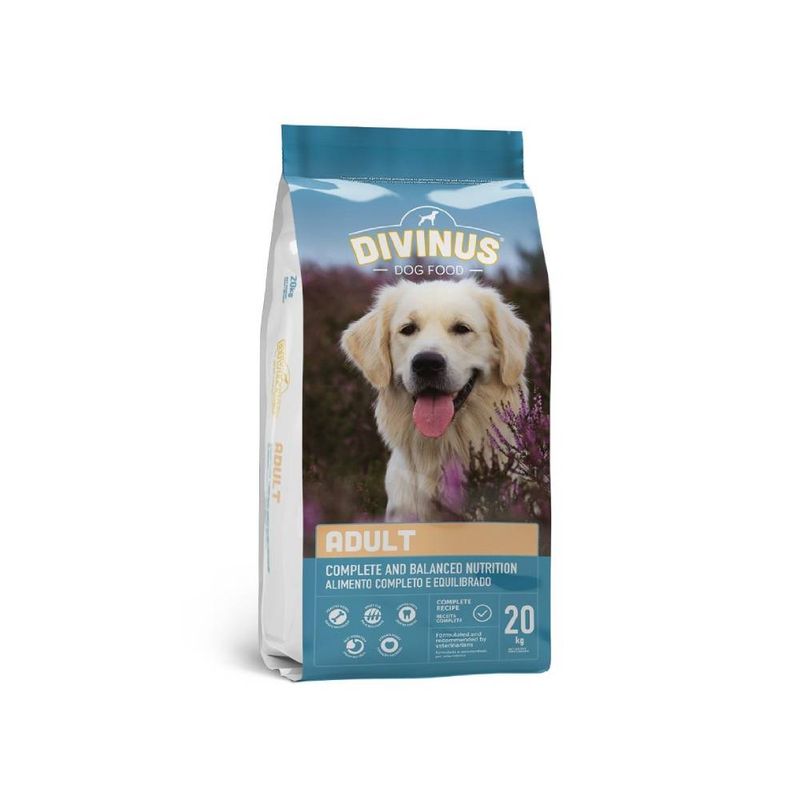 Divinus - Adult pour chien