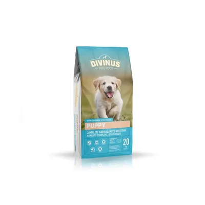 Divinus - Puppy Divinus - Puppy