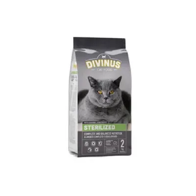 Divinus - Chat Sterilized Divinus - Chat Sterilized