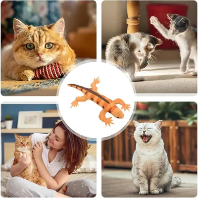 Pet Planet Peluche lézard pour chats