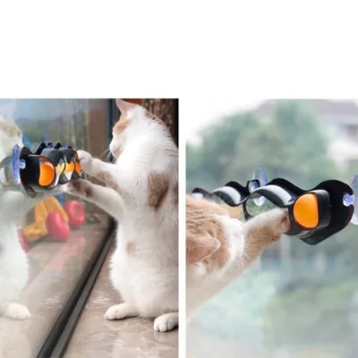 Pet Planet Ensemble de jouets pour chat Pet Planet