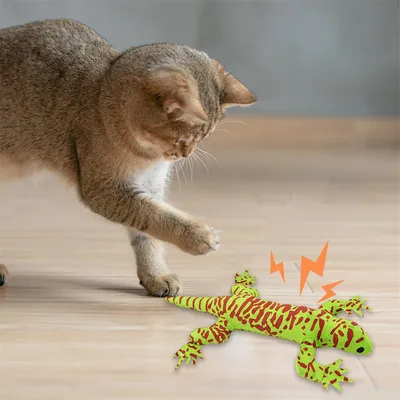 Pet Planet Peluche lézard pour chats