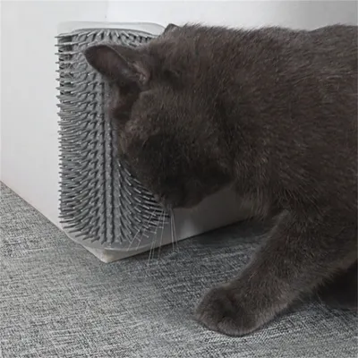 Masseur pour chat et chien Pet Planet