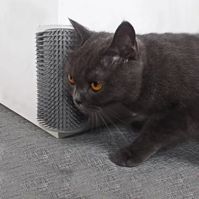 Masseur pour chat et chien Pet Planet