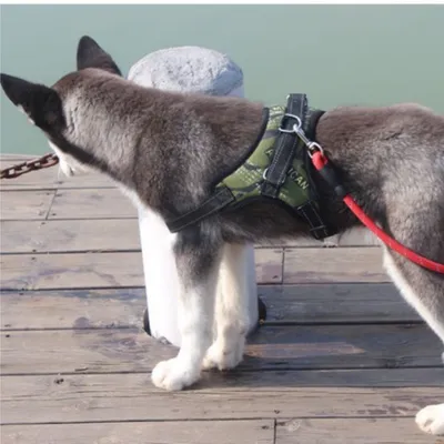 FurryFusion Harnais pour chien