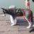 FurryFusion Harnais pour chien
