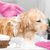 FurryFusion Gants en silicone pour laver les animaux de compagnie