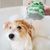 FurryFusion Brosse de bain en silicone en forme de pieuvre