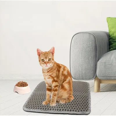 FurryFusion Mat de sable pour chat en EVA double couche