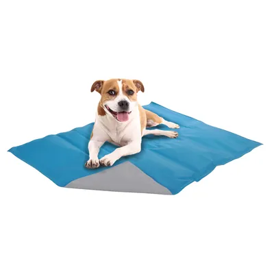 Coussin matelas rafraîchissant pour chien Coussin matelas rafraîchissant pour chien