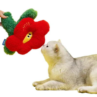 FurryFusion Oreiller pour chat