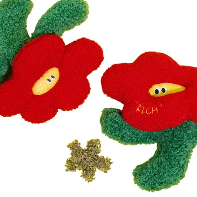 FurryFusion Oreiller pour chat