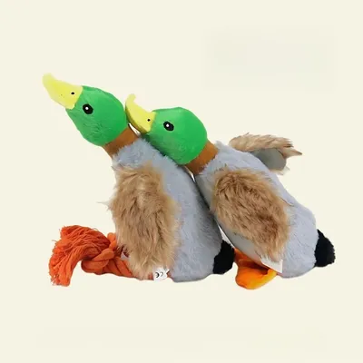 Jouet en peluche canard pour chien Pet Planet
