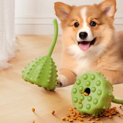 FurryFusion Boule à friandises en forme de lotus pour chien