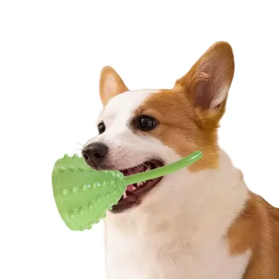 FurryFusion Boule à friandises en forme de lotus pour chien