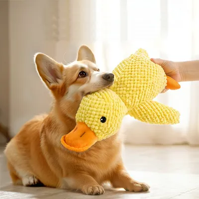 Pet Planet Jouet en peluche de canard pour chiens