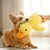 Pet Planet Jouet en peluche de canard pour chiens