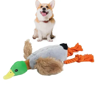 Jouet en peluche canard pour chien Pet Planet