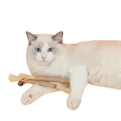 FurryFusion Bâtonnets de dentition pour chat lot de 5