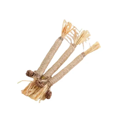 FurryFusion Bâtonnets de dentition pour chat lot de 5