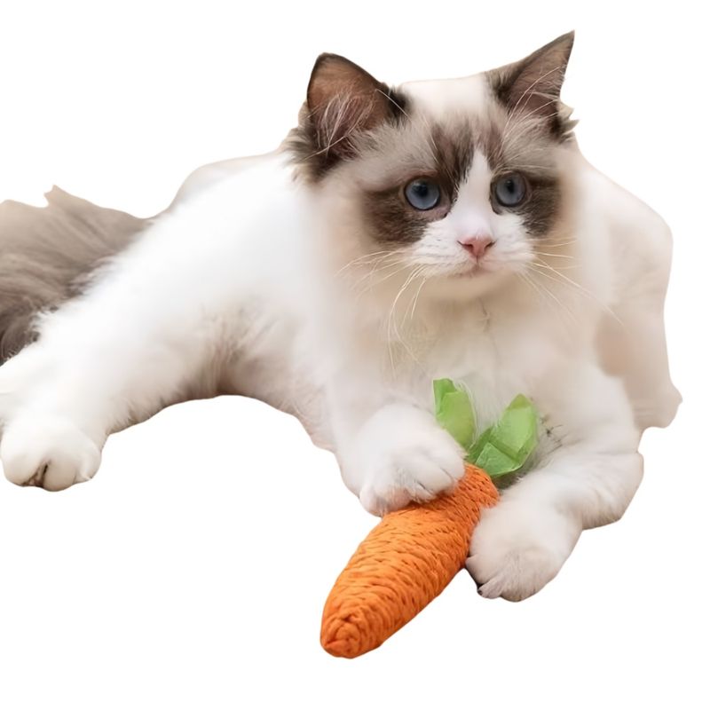FurryFusion Jouet carotte pour chat
