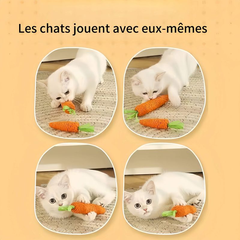 FurryFusion Jouet carotte pour chat