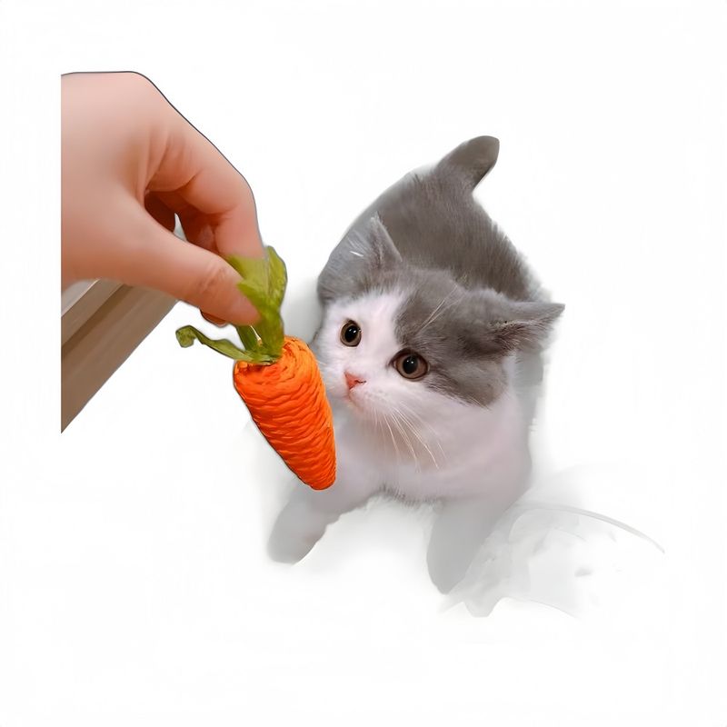 FurryFusion Jouet carotte pour chat