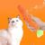 FurryFusion Jouet carotte pour chat