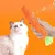 FurryFusion Jouet carotte pour chat