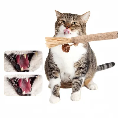 FurryFusion Bâtonnets à mâcher dentaires pour chats