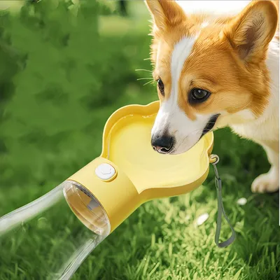 FurryFusion Botella de agua portátil para perros de 400 ml