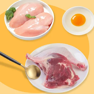 FurryFusion Friandises lyophilisées pour chiens, paquets de poulet