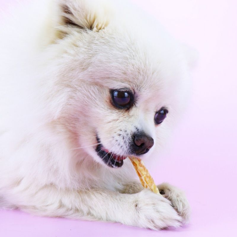 FurryFusion Friandises pour chiens, 400 g de viande de poulet séchée
