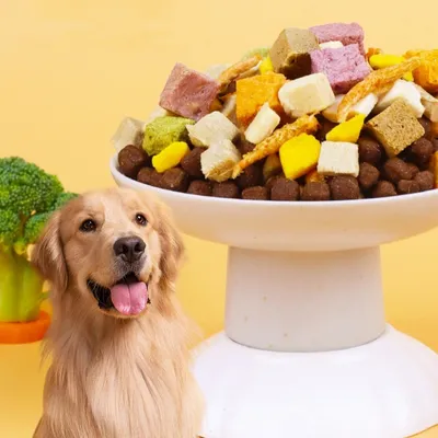 FurryFusion Friandises lyophilisées pour chiens et chats