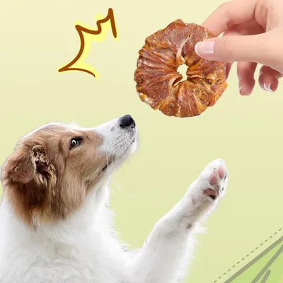 FurryFusion Friandises pour chiens, anneau à mâcher en viande pure
