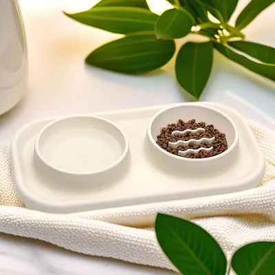 Pet Planet Bols anti-goulu en silicone pour chats et chiens