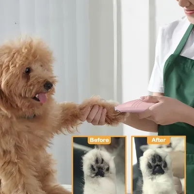 FurryFusion Tondeuse pour pattes d'animaux