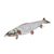 Jouet Poisson en Peluche pour Chat ou chien
