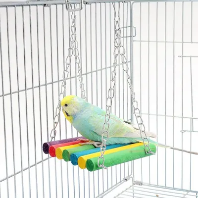 FurryFusion Jouet pour perroquet Pont suspendu arc-en-ciel