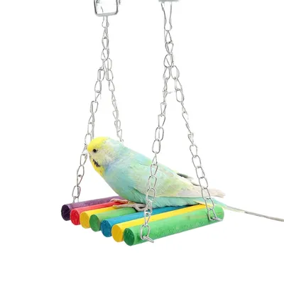 FurryFusion Jouet pour perroquet Pont suspendu arc-en-ciel