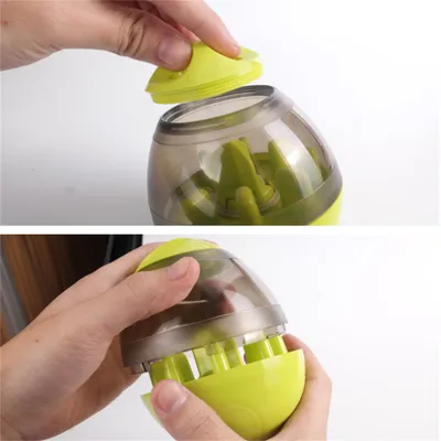 Pet Planet Jouet-boule à graines pour chien